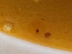 -白老大羊杂碎稍麦