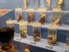 -国家自然博物馆