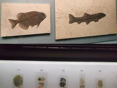 -湖南省地质博物馆