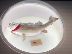 -陕西自然博物馆