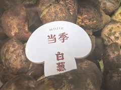 -蘑界·野生菌火锅(深业上城店)