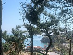 -棒棰岛宾馆景区