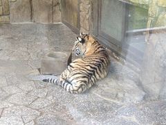 -上海野生动物园