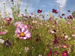 -亿利库布其七星湖沙漠生态旅游区
