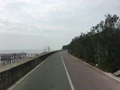 -北海金海湾红树林生态旅游区