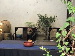 -普洱茶府(博乐广场店)