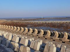 -南汇嘴观海公园