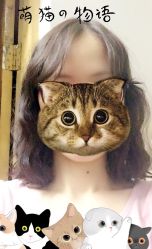 -美奇丝私人定制