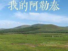 -丰宁坝上草原