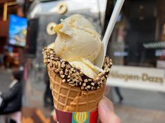 -越秀西湖花市(广州城市广场花卉店)