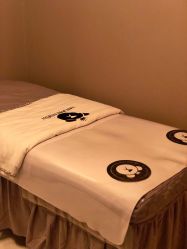 -三只熊皮肤管理中心