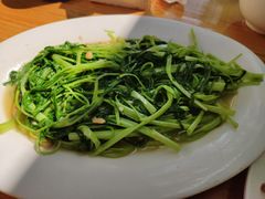 炒通心菜-乌文新澄海卤鹅店