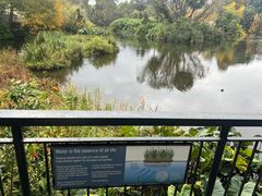 -墨尔本皇家植物园