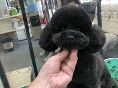 -芭比堂动物医院·心脏专科·夜诊·吉雅分院