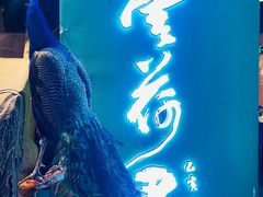 -云荷里·蒸汽石锅鱼·云南菜(中发百旺店)
