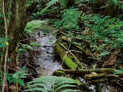 -青峰峡国家森林公园