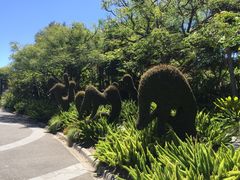 -墨尔本皇家植物园