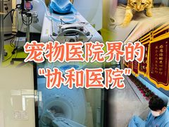 -北京派仕佳德动物医院·超导核磁·CT·神经科·骨科·内外科·急重症管理中心
