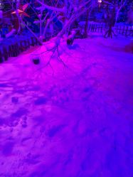 -圣名游乐城冰雪大世界