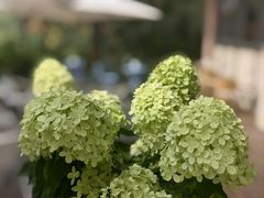 -Beans Solo豆号咖啡(百家湖花园店)