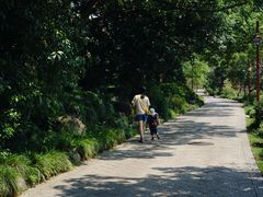 -中国茶叶博物馆(双峰馆区)