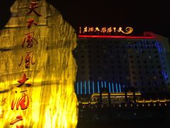 -天下凤凰大酒店