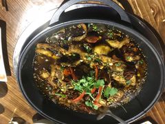 -渔遭殃鱼馆(黄桷垭店)