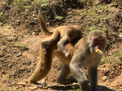 -石家庄市动物园