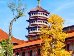 -高旻寺