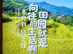 -杨厨的田园饭店(长城路店)