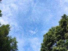 -红花山公园
