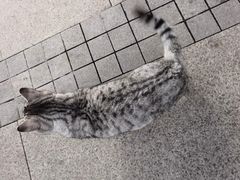 -大米先生(光电园店)