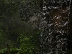 -昆明植物园