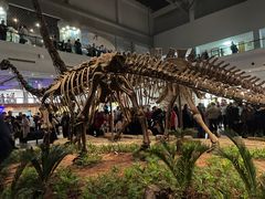 -自贡恐龙博物馆