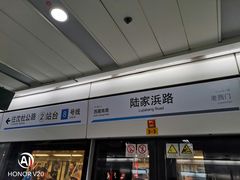-陆家浜路(地铁站)