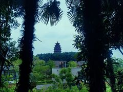 -铁山坪森林公园