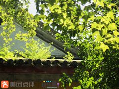 -溪口-滕头旅游景区