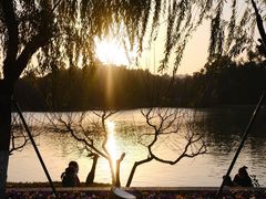 -西湖公园(鼓楼区)