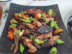 -蘑统田下·野生菌火锅