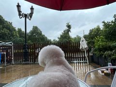 -臻品足道(后湖店)