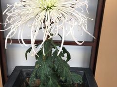 -小榄人家酒楼(民安店)