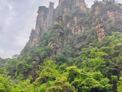 -业华湘·特色菜