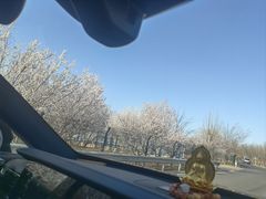 -白水寺森林公园