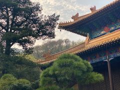 -普陀山风景名胜区-法雨禅寺