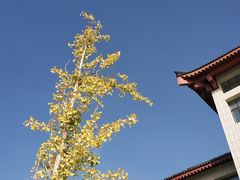 -党河风情线国家水利风景区