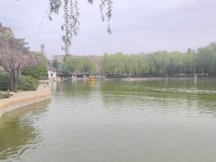 -团结湖公园
