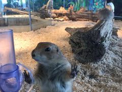 -昆明大悦城未来动物城(螺蛳湾中心店)