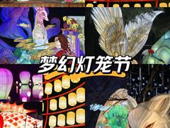 -淄博花灯齐彩城