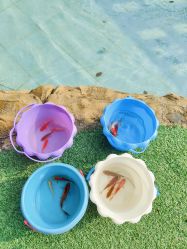 -可可天空农场(中大店)