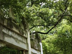 -灵谷景区